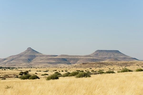 Palmwag Concession, Damaraland, Namibia, Africa