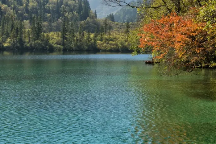 Framed Print : Panda Lake, Jiuzhaigou National Park, UNESCO World Heritage Site, Sichuan Province Framed Print : Panda Lake, Jiuzhaigou National Park, UNESCO World Heritage Site, Sichuan Province
