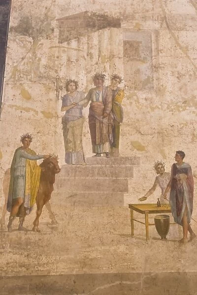 Panel painting, from The House of Jason, Pompeii, displayed at National Archaeological Museum