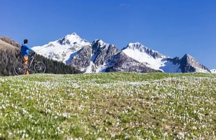 Framed Print : Panorama of cyclist with mountain bike framed by crocus in bloom, Albaredo Valley Framed Print : Panorama of cyclist with mountain bike framed by crocus in bloom, Albaredo Valley