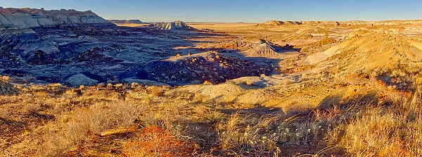 Panorama of the First Forest in Petrified Forest National Park, Arizona