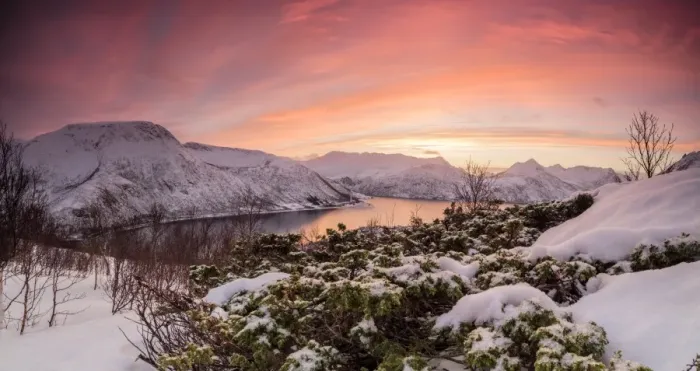 Framed Print : Panorama of frozen sea surrounded by snow framed by the orange sky at sunset, Torsken Framed Print : Panorama of frozen sea surrounded by snow framed by the orange sky at sunset, Torsken