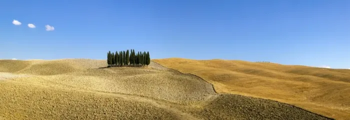 Framed Print : Panorama of group of Cypress trees in the landscape, Val d Orcia, UNESCO World Heritage Site Framed Print : Panorama of group of Cypress trees in the landscape, Val d Orcia, UNESCO World Heritage Site