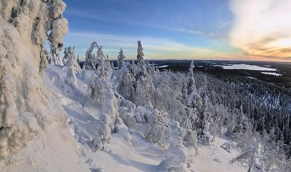 Panorama of snowy landscape and woods framed by blue sky and sun, Ruka, Kuusamo