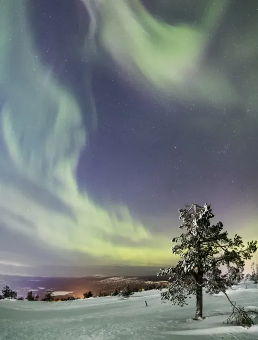 Framed Print : Panorama of snowy woods and frozen trees framed by Northern Lights (Aurora Borealis) and stars Framed Print : Panorama of snowy woods and frozen trees framed by Northern Lights (Aurora Borealis) and stars