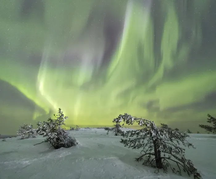 Framed Print : Panorama of snowy woods and frozen trees framed by Northern lights (Aurora Borealis) and stars Framed Print : Panorama of snowy woods and frozen trees framed by Northern lights (Aurora Borealis) and stars