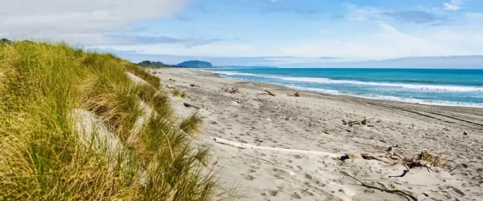 Framed Print : Panorama of wild and rugged Ross Beach, West Coast, South Island, New Zealand, Pacific Framed Print : Panorama of wild and rugged Ross Beach, West Coast, South Island, New Zealand, Pacific