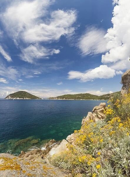 Panoramic of blue sea, Gulf of Procchio, Marciana, Elba Island, Livorno Province