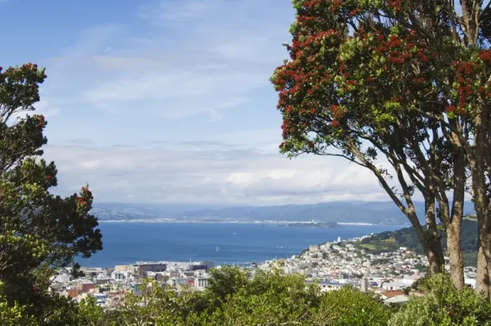 Framed Print : Panoramic city centre view overlooking Oriental Bay Framed Print : Panoramic city centre view overlooking Oriental Bay