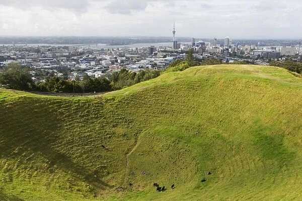 Panoramic city view from Mount Eden Volcanic Crater