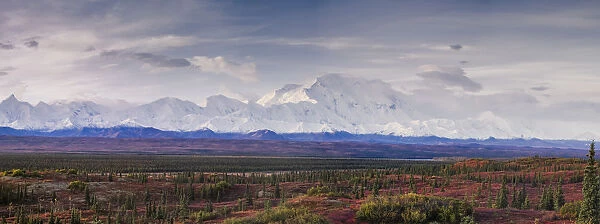 Panoramic landscape of the Denali Mountain (Mount McKinley), Denali National Park