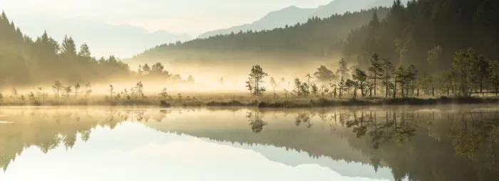 Framed Print : Panoramic of trees mirrored in Pian di Gembro Nature Reserve during a misty sunrise Framed Print : Panoramic of trees mirrored in Pian di Gembro Nature Reserve during a misty sunrise