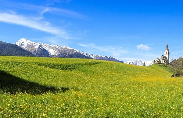 Panoramic of valley covered with yellow flowers, Schmitten, District of Albula, Canton