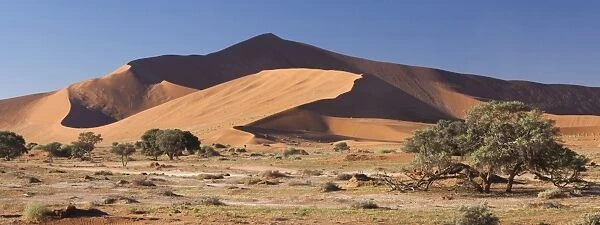 Panoramic view of the Ancient orange sand dunes of the Namib Desert at Sossusvlei, near Sesriem, Namib Naukluft Park, Namibia, Africa