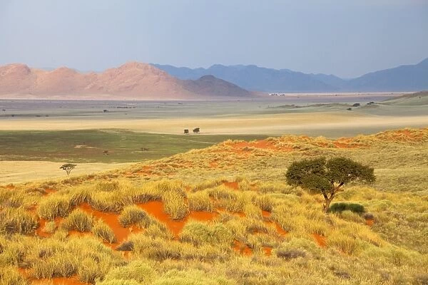 Panoramic view over the desert landscape of the Namib Rand game reserve bathed in evening light, Namib Naukluft Park, Namibia, Africa