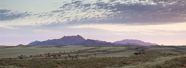 Panoramic view at dusk over the magnificent landscape of the Namib Rand game reserve, Namib Naukluft Park, Namibia, Africa