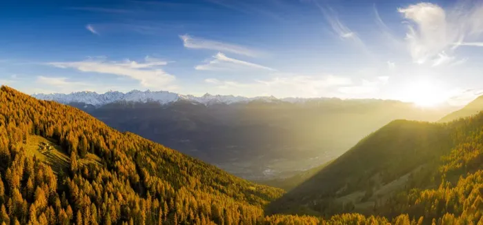 Framed Print : Panoramic view of the larch forest in autumn at sunset, Alpe Mara, Valtellina, Lombardy, Italy, Europe