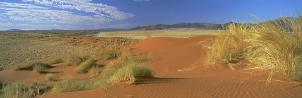 Panoramic view over orange sand dunes towards the mountains