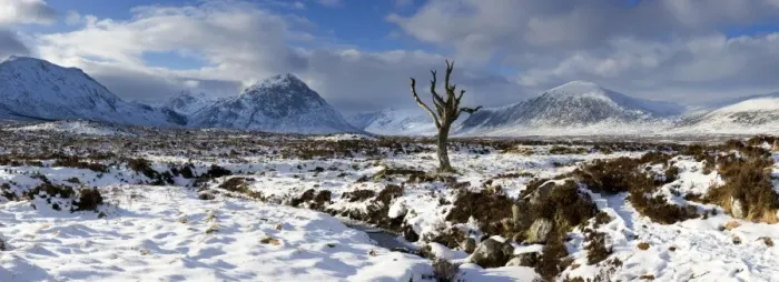Framed Print : Panoramic view over snow-covered Rannoch Moor towards distant mountains with dead tree bathed in winter light, Highland, Scotland, United Framed Print : Panoramic view over snow-covered Rannoch Moor towards distant mountains with dead tree bathed in winter light, Highland, Scotland, United