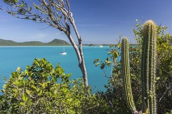 Panoramic view of Spearn Bay from a hill overlooking the quiet lagoon visited by many sailboats, St