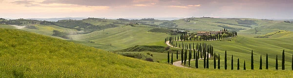 Panoramic view of sunset over the Agriturismo Baccoleno and winding path with cypress trees