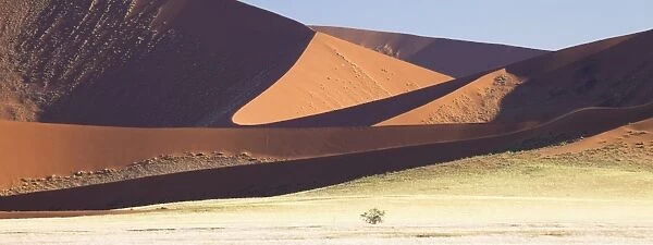 Panoramic view of the towering orange dunes of the ancient Namib Desert near Sesriem, Namib Desert, Namib Naukluft Park, Namibia, Africa