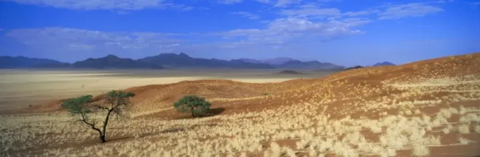 Framed Print : Panoramic view of trees and mountains in desert landscape Framed Print : Panoramic view of trees and mountains in desert landscape