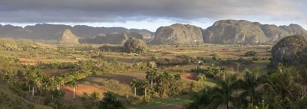 Panoramic view of Vinales Valley, UNESCO World Heritage Site, from Hotel Los Jasmines, early morning, Vinales, Pinar Del Rio Province, Cuba, West Indies, Central America