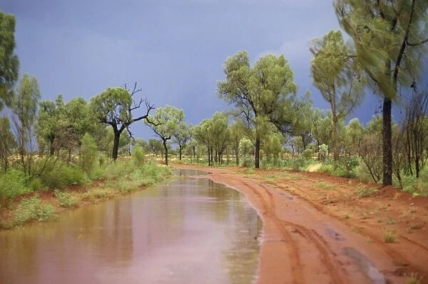 Around Papunya after rain, Northern Territory, Australia, Pacific