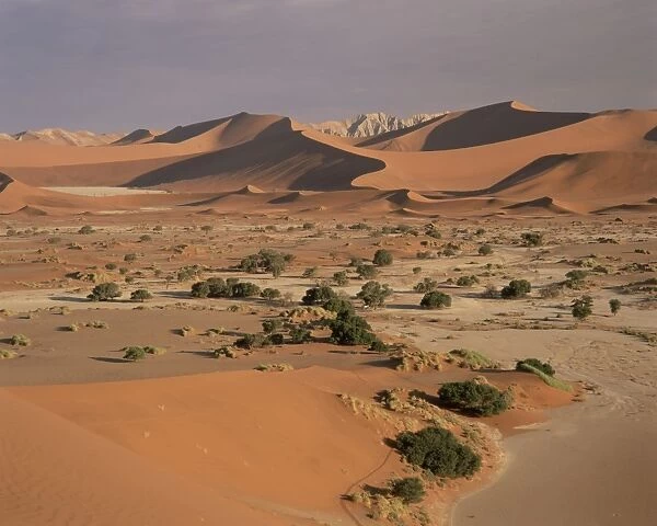 Parabolic sand dune formations