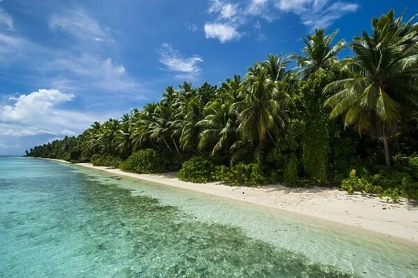 Paradise white sand beach and turquoise water on Ant Atoll, Pohnpei, Micronesia, Pacific