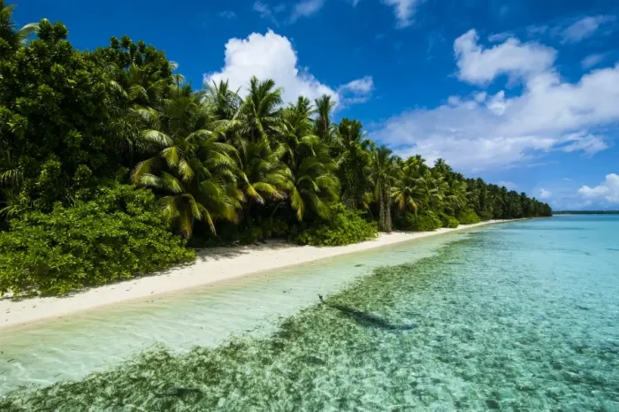 Framed Print : Paradise white sand beach in turquoise water on Ant Atoll, Pohnpei, Micronesia, Pacific Framed Print : Paradise white sand beach in turquoise water on Ant Atoll, Pohnpei, Micronesia, Pacific