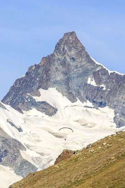 A paraglider flies in front of the majestic Obergabelhorn, Canton of Valais, Pennine Alps