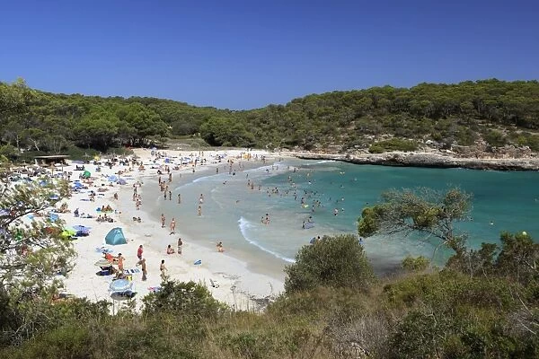 Parc Natural de Mondragos Amarador beach, Mallorca (Majorca), Balearic Islands