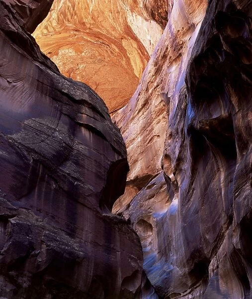 Paria Canyon, a slot canyon, Arizona, United States of America (U