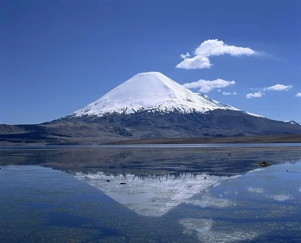 Parinacota volcano and Lake Chungara in the Lauca National Park, Chile, South America