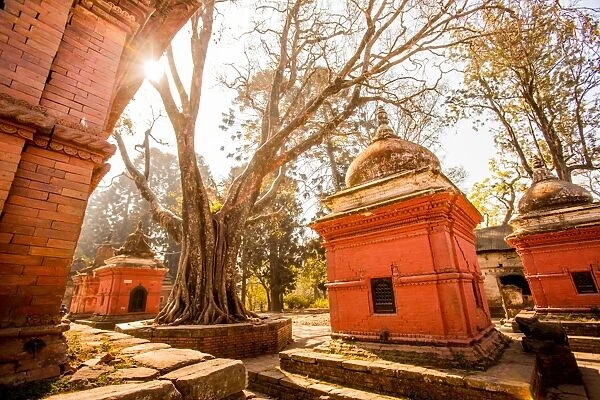 Pashupati Temple tombs, Kathmandu, Nepal, Asia