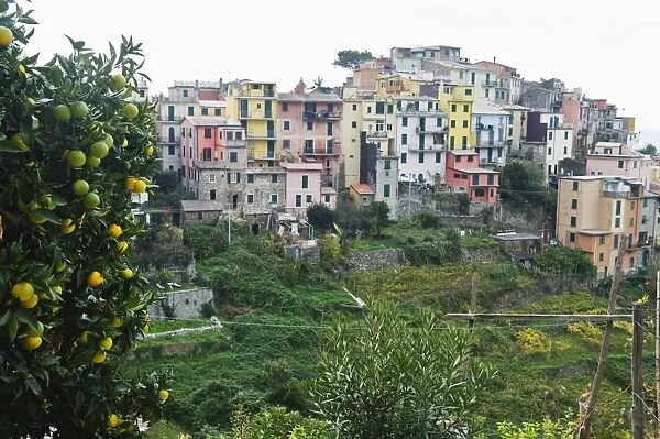 Pastel coloured houses, village of Corniglia, Cinque Terre, UNESCO World Heritage Site