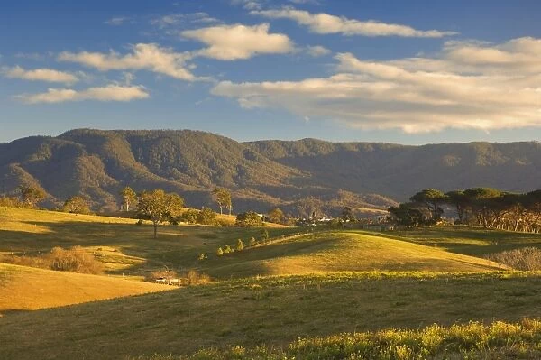 Pasture, Bega, New South Wales, Australia, Pacific