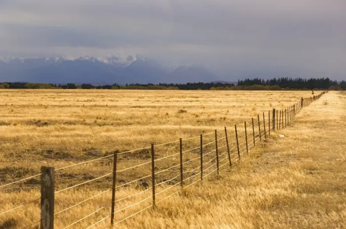 Framed Print : Pasture, Burke Pass Framed Print : Pasture, Burke Pass