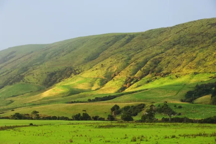Framed Print : Pasture and hills Framed Print : Pasture and hills