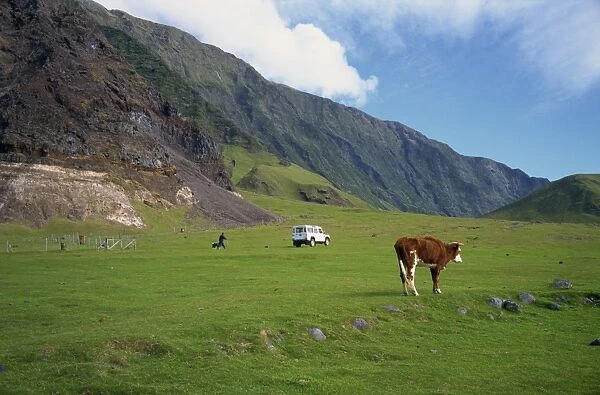 Pastures near settlement of Edinburgh, Tristan da Cunha, mid-Atlantic