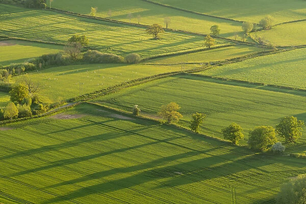 Patchwork fields in the Brecon Beacons National Park, Powys, Wales, United Kingdom