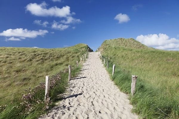 Path through dunes, Sylt Islands, North Frisian Islands, Schleswig Holstein, Germany, Europe