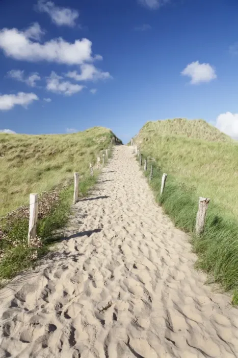 Framed Print : Path through dunes, Sylt, North Frisian Islands, Nordfriesland, Schleswig Holstein, Germany, Europe Framed Print : Path through dunes, Sylt, North Frisian Islands, Nordfriesland, Schleswig Holstein, Germany, Europe