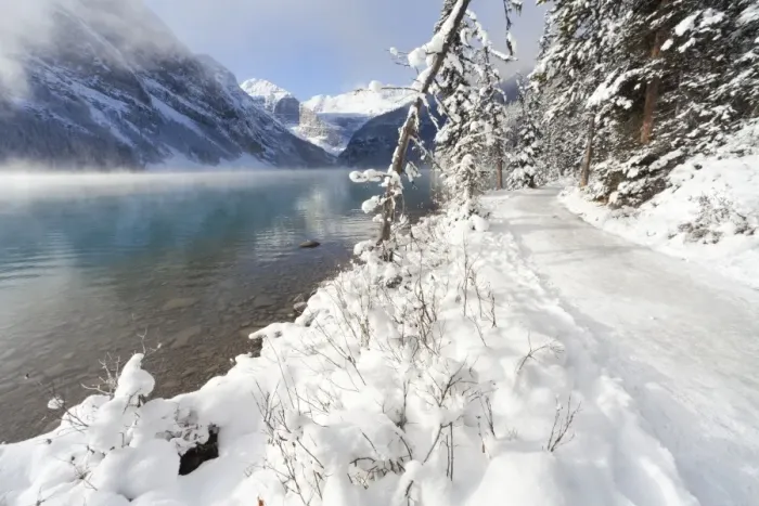 Framed Print : Path along Lake Louise, Banff National Park, UNESCO World Heritage Site, Rocky Mountains Framed Print : Path along Lake Louise, Banff National Park, UNESCO World Heritage Site, Rocky Mountains