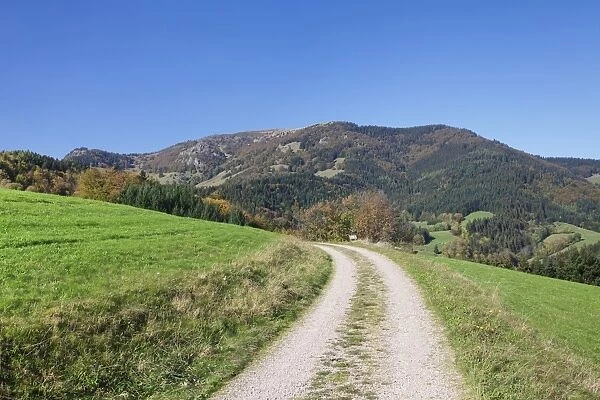 Path leading to Belchen Mountain, Black Forest, Baden Wurttemberg, Germany, Europe