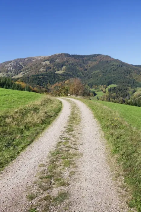 Framed Print : Path leading to Belchen Mountain, Black Forest, Baden Wurttemberg, Germany, Europe Framed Print : Path leading to Belchen Mountain, Black Forest, Baden Wurttemberg, Germany, Europe