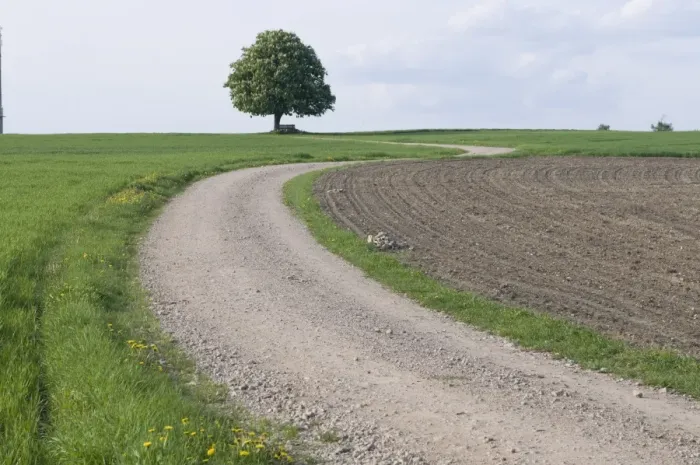 Framed Print : Path leading through landscape, Waldsassen, Bavaria, Germany, Europe Framed Print : Path leading through landscape, Waldsassen, Bavaria, Germany, Europe
