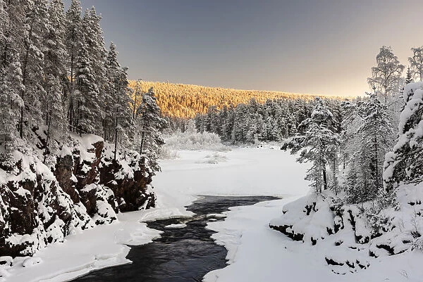 Patoniva River and snow covered winter landscape, Oulanka National Park, Kuusamo, Finland
